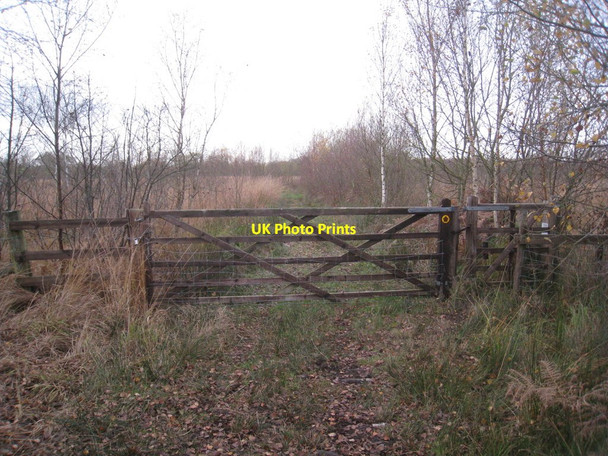 Photo 6"x4" Gate on the path Crowle Hill c2011