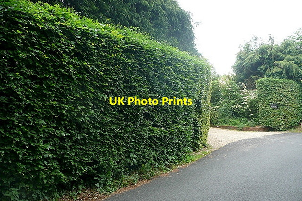 Photo 6"x4" Now you don't ... Browninghill Green c2011