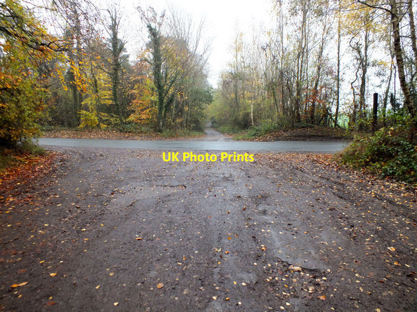 Photo 6"x4" Crossing the road Bulbridge c2011