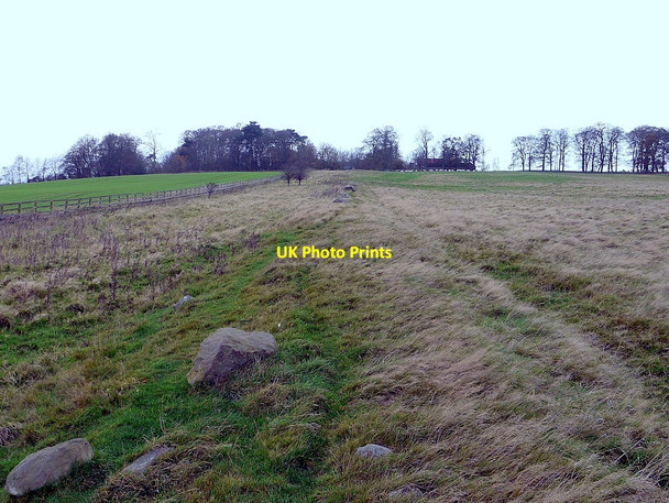 Photo 6"x4" South marginal mound of the Roman Vallum approaching Rudchester Houghton\/NZ1266 c2011