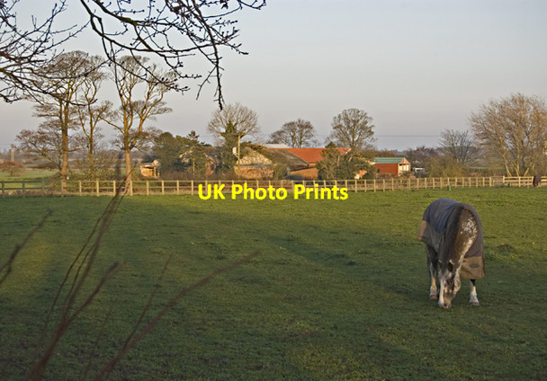 Photo 6"x4" Rowlings Farm, near Great Hatfield Goxhill\/TA1844 c2011