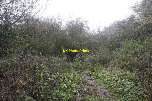 Photo 6"x4" The old line Hampstead Norreys c2011