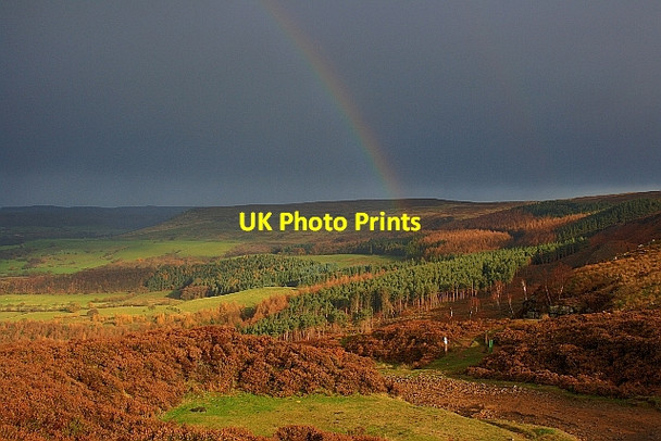 Photo 6"x4" Plantations below Battersby Crag Battersby c2011