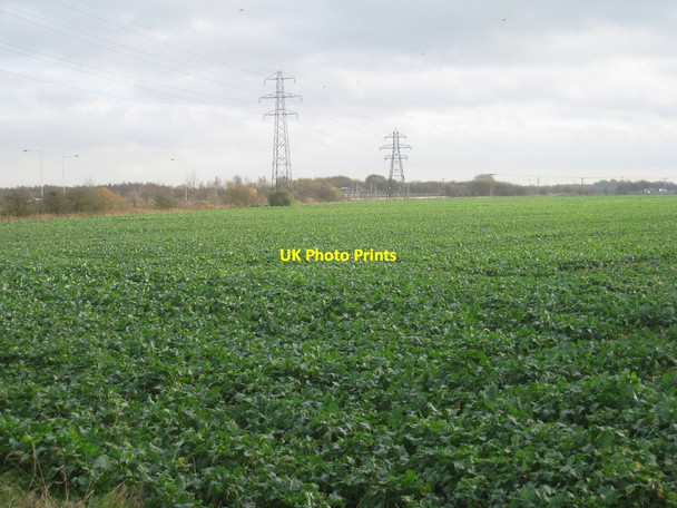 Photo 6"x4" Pylons leading to a transformer station Moorends c2011