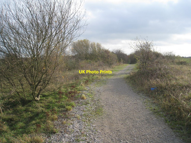 Photo 6"x4" Footpath to Thorne Waste Moorends c2011