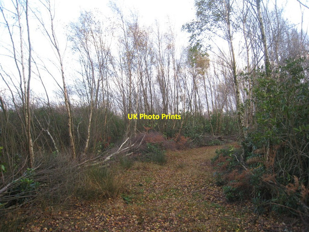 Photo 6"x4" Bend in the track Moorends c2011