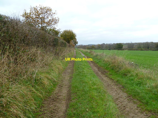 Photo 6"x4" Romford, farm track Romford\/SU0709 c2011