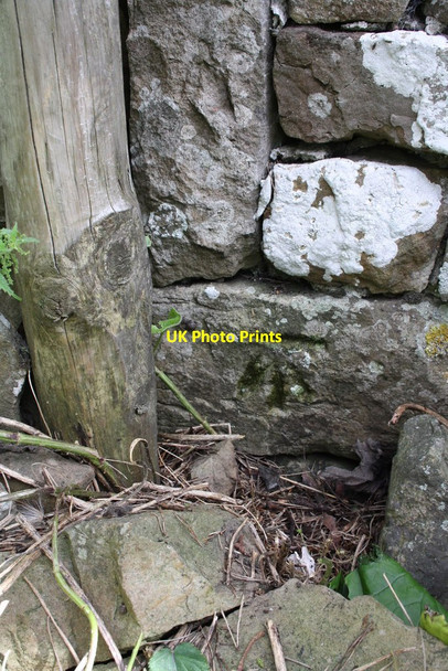 Photo 6"x4" Benchmark on barn at Gill Edge Countersett c2011