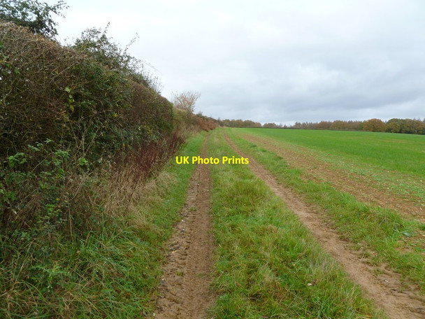 Photo 6"x4" Wimborne St. Giles, farm track Romford\/SU0709 c2011