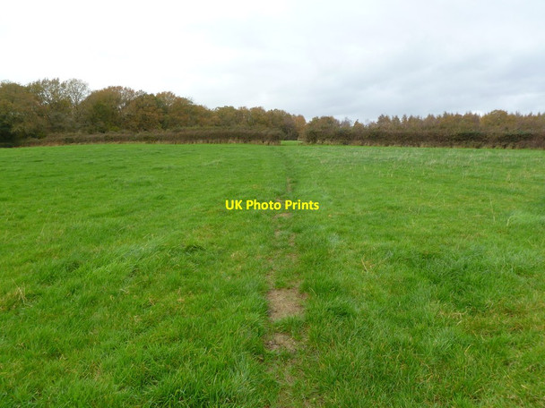 Photo 6"x4" Wimborne St. Giles, footpath Romford\/SU0709 c2011