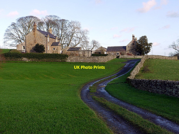 Photo 6"x4" Halton Farm Halton\/NY9967 c2011