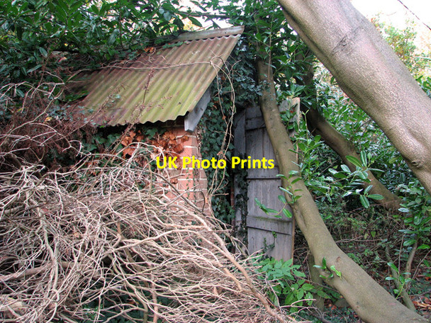 Photo 6"x4" Overgrown shed, Sotterley Sotterley c2011