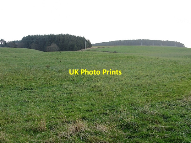 Photo 6"x4" Grassland, Drum Kilncadzow c2011