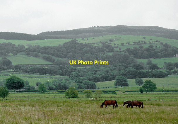 Photo 6"x4" Rough pasture near Pontrhydfendigaid, Ceredigion Swyddffynnon c2011