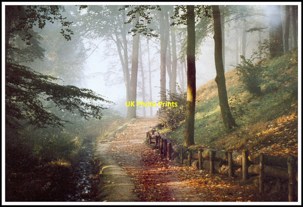 Photo 6"x4" Chellow Dene. Footpath, looking towards Sandy Lane. Allerton\/SE1134 c2011