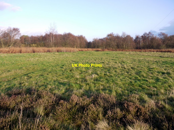 Photo 6"x4" Common land east of A68 at Stagshaw Bank Halton\/NY9967 c2011