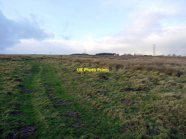 Photo 6"x4" Stagshaw Bank Halton\/NY9967 c2011