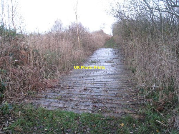 Photo 6"x4" Boardwalk on Thorne Waste Moorends c2011