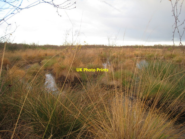 Photo 6"x4" Peat bog on Thorne Waste Moorends c2011