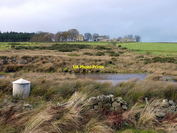 Photo 6"x4" Pond on Stagshawbank Burn south of Portgate Halton\/NY9967 c2011