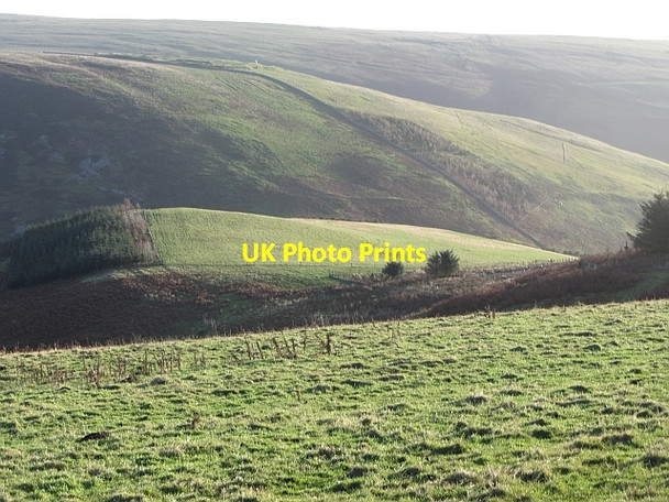 Photo 6"x4" Fields above Soonhope Addinston c2011