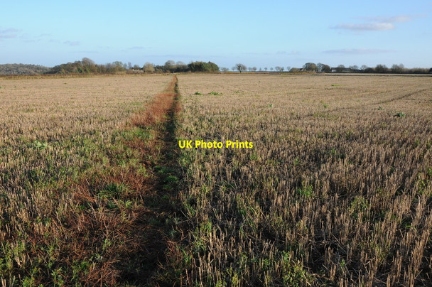 Photo 6"x4" Footpath through a stubble field Lypiatt c2011
