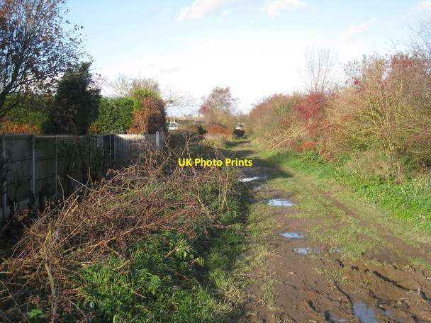 Photo 6"x4" Track near Broadgate Farm Moorends c2011