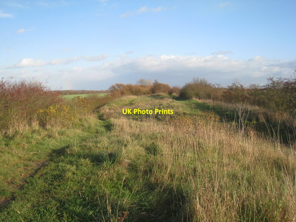Photo 6"x4" The path leading to the Humberhead Peatlands National Nature Reserve Moorends c2011
