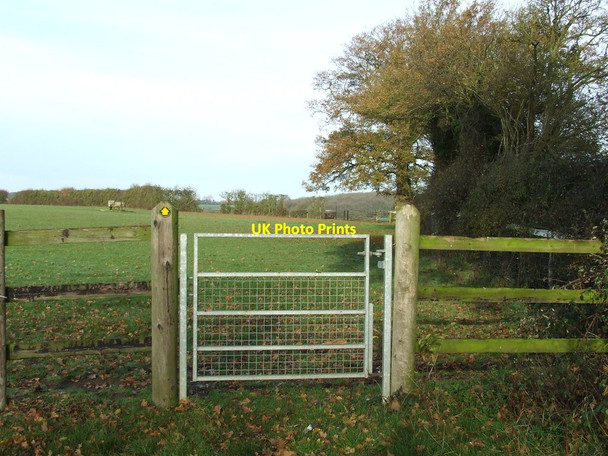 Photo 6"x4" Metal Gate Carlton\/TL6453 c2011
