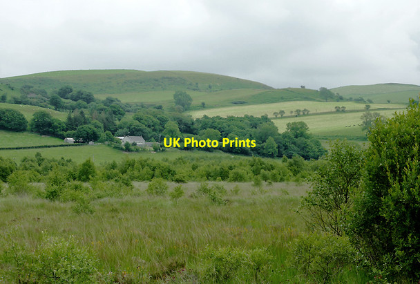 Photo 6"x4" Rough Pasture south-west of Pontrhydfendigaid, Ceredigion Swyddffynnon c2011
