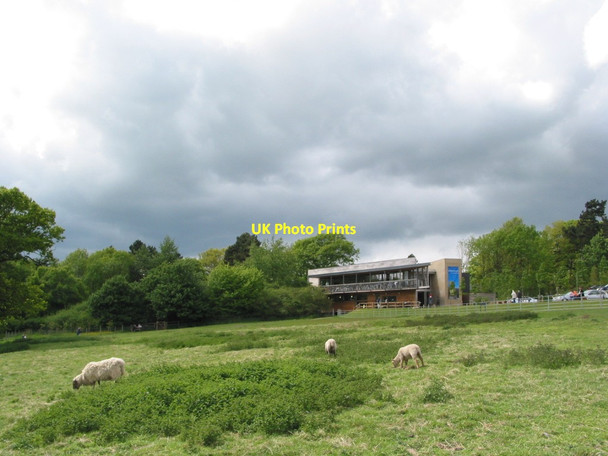 Photo 6"x4" Yorkshire Sculpture Park visitor centre West Bretton\/SE2813 c2003