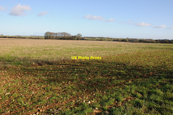 Photo 6"x4" Stubble field, Duntisbourne Abbots Winstone c2011