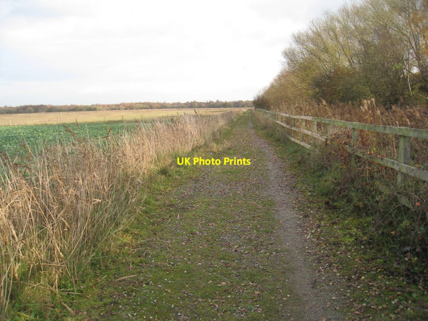 Photo 6"x4" Footpath to Thorne Waste (2) Moorends c2011