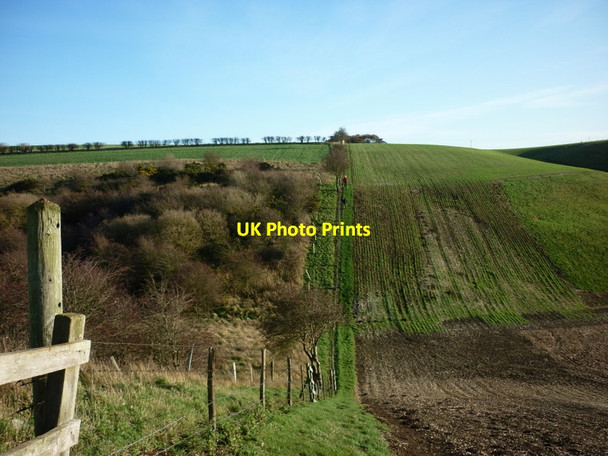 Photo 6"x4" Looking north towards Kirk Heads Folkton c2011