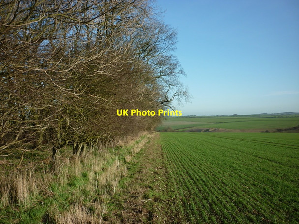 Photo 6"x4" Heading down towards Fleming Dale Fordon c2011
