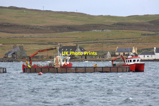 Photo 6"x4" Working on salmon cages in Uyea Sound Clivocast c2011