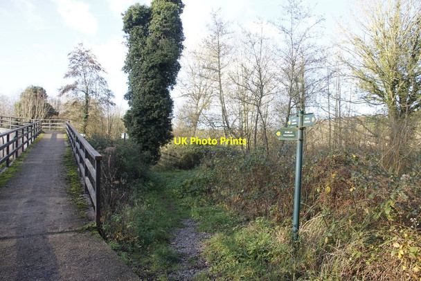 Photo 6"x4" Path past the bridge Woolhampton c2011
