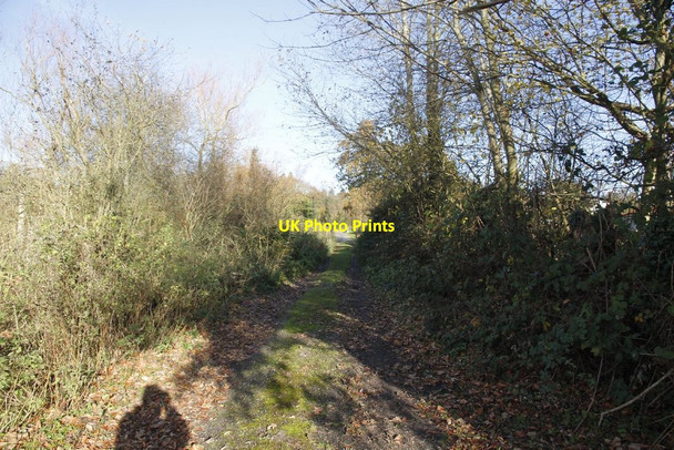 Photo 6"x4" Track to the A4 Woolhampton c2011
