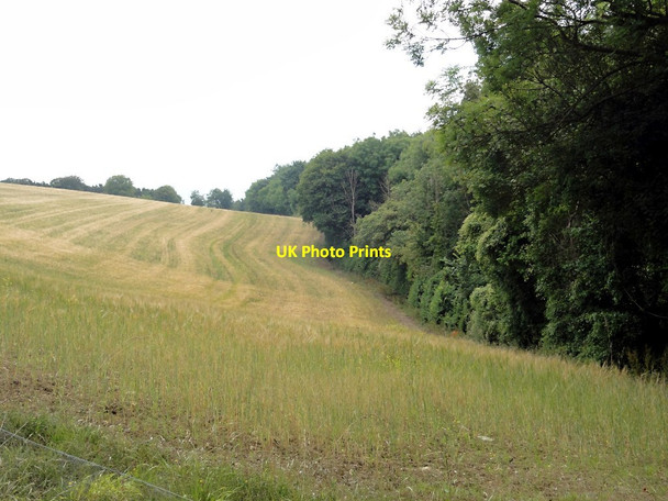 Photo 6"x4" Woodland Edge Chapel Cleeve c2011