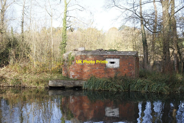 Photo 6"x4" Side on view Woolhampton c2011