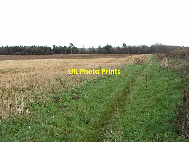Photo 6"x4" Track on the field edge Gifford c2011