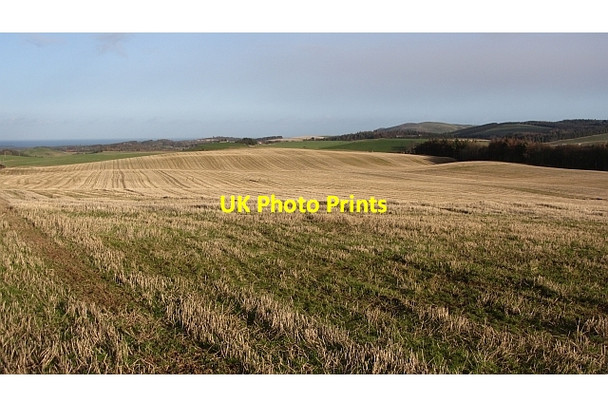 Photo 6"x4" Stubble, Carfrae Carfrae\/NT5769 c2011
