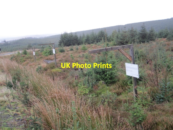 Photo 6"x4" Planet Signposts near Kielder Observatory Kielder c2011