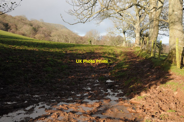 Photo 6"x4" Wet footpath in the Monnow valley Craswall\/SO2934 c2011