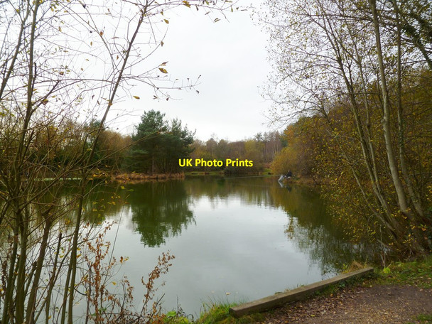 Photo 6"x4" Wedgehill Ponds Horton Heath\/SU0606 c2011