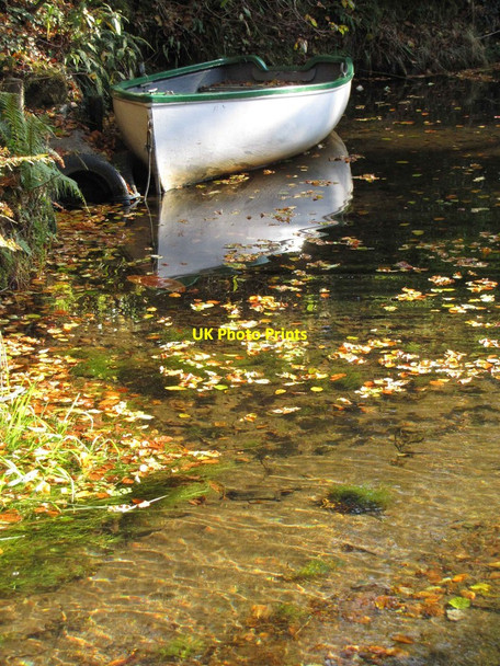 Photo 6"x4" The lower pond at Lukesland Gardens Ivybridge\/SX6356 c2011