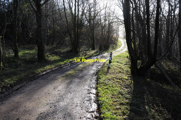 Photo 6"x4" Road below Little Black Hill Craswall\/SO2934 c2011
