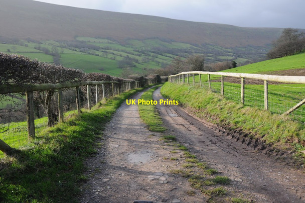 Photo 6"x4" Entrance to Holly Farm Llanveynoe c2011