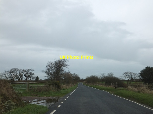 Photo 6"x4" Road passing farm track on Farway Hill Blannicombe c2011