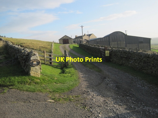 Photo 6"x4" Moorhouse Gate Farm Allendale Town c2011